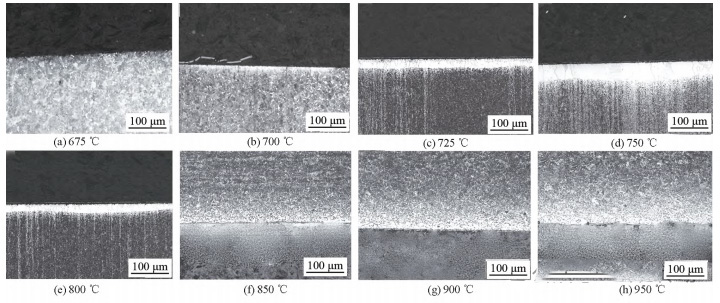 Morpolohiya ng Decarburization Layer sa Experimental Steel sa Iba't ibang Temperatura ng Pag-init sa loob ng 1 oras